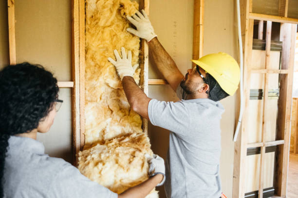 Types of Insulation We Offer in Big Pine, CA